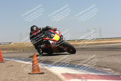 media/Aug-04-2024-TrackDaz (Sun) [[e1ff0814b6]]/Group A/1pm (Grapevine)/